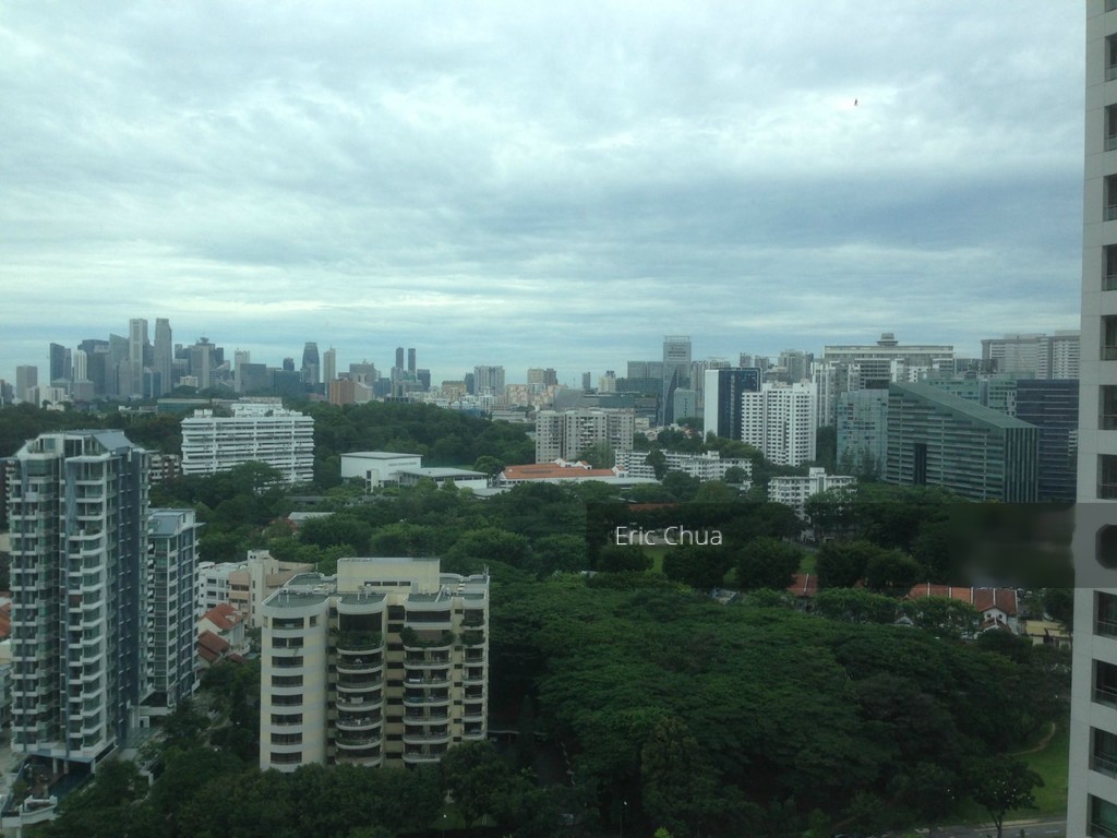 Amaryllis Ville (D11), Condominium #133880752